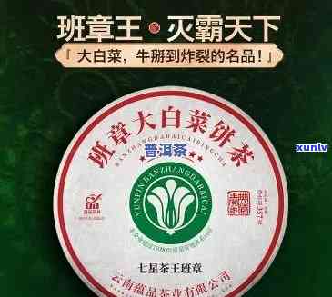 大白菜茶饼价格查询，最新！大白菜茶饼价格全解析，让您轻松掌握市场行情！