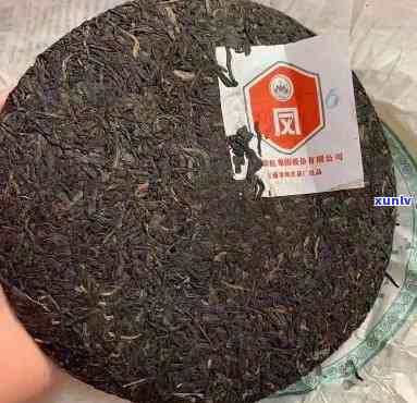 2006凤牌青饼7815价格是多少？同时了解7813的价格信息