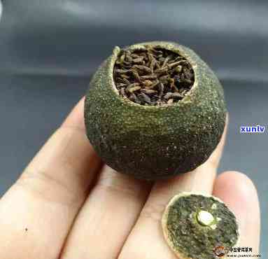 小青柑壳能泡茶不，小青柑壳：能否用来泡茶？