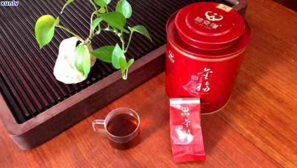 小青柑茶怎么泡喝，「小青柑茶怎么泡」，茶艺新手也能轻松get的冲泡技巧