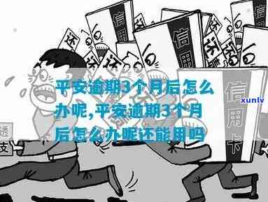 平安普逾期3个月-平安普逾期3个月会怎样