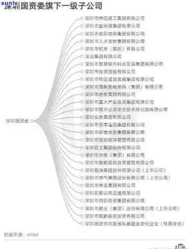 深圳深国投：历、现任事长及深国投场简介