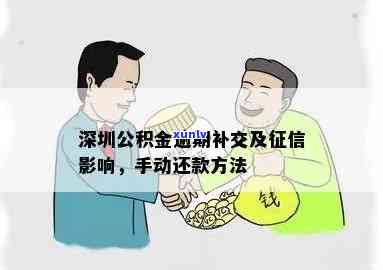 深圳公积金逾期还款怎么办理？手续流程全解析