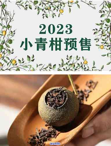 小青柑厂家排名，揭秘市场热门！2023年小青柑厂家排行榜一览