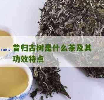 探究昔归古树茶的功效与作用：一种独特的健饮品