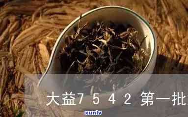 大益茶7542批次区别：全面解析不同批次之间的差异与特点