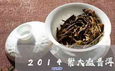 紫大益是什么年份的-紫大益是哪一年的