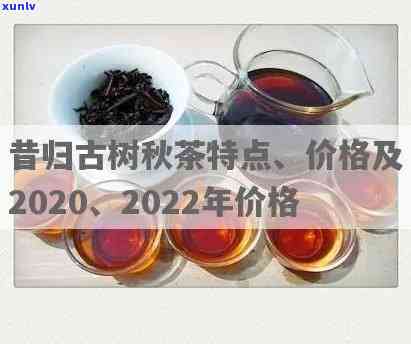 2022昔归古树茶价格多少？所属档次介绍