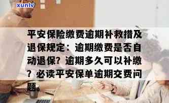 平安保险逾期未缴费，警惕！平安保险逾期未缴费，可能面临严重结果