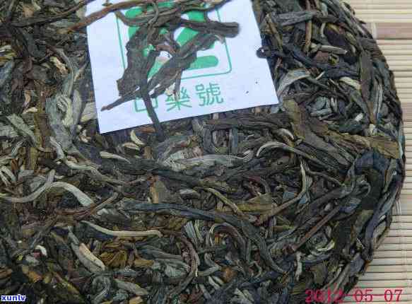 冰岛古树茶是生茶还是熟茶：口感特点与品质分析