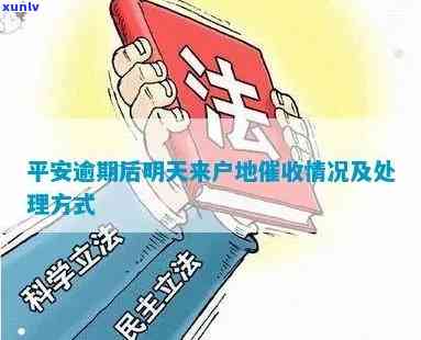 平安逾期会去户地吗，平安逾期处理：是否会前往户地？