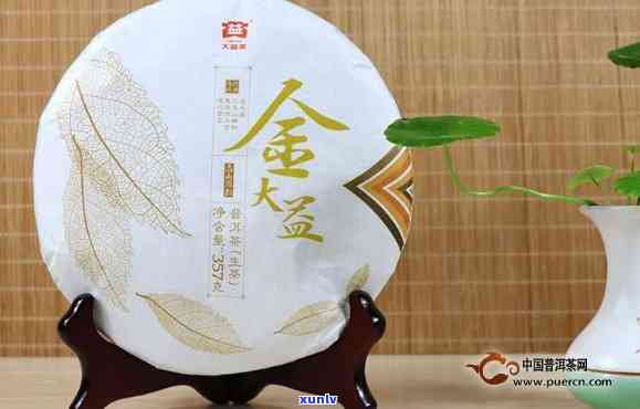 大益仓颉号普洱茶：价格、品鉴全解析