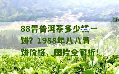 98年8582青饼价格，回顾历：1998年8582青饼的价格走势