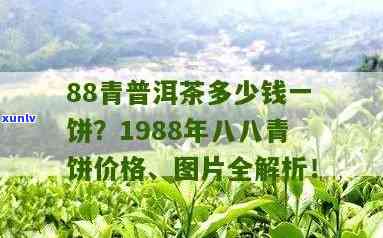 92年88青饼价格-99年青饼价格