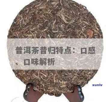 昔归生茶还是熟茶？特点解析及与熟普的区别