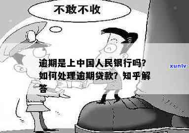 逾期上中国人民银行-逾期上中国人民银行会怎么样