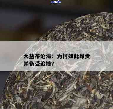 大益茶沧海为什么那么贵，探究为何大益茶沧海价格昂贵？