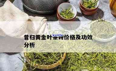 昔归大金砖生茶价格-昔归黄金砖是什么茶