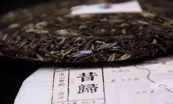 昔归生茶哪个好-昔归茶哪个牌子好