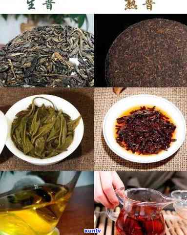 昔归茶是生茶还是熟茶，解惑茶叶品种：昔归茶，它是生茶还是熟茶？