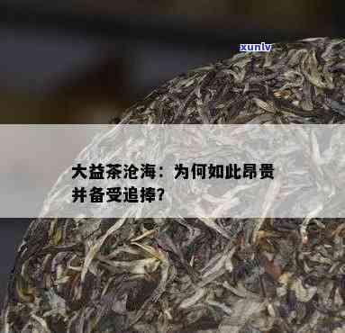 大益沧海为啥这么贵？深度解析其高价值原因