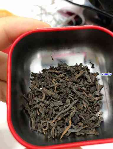 96玫瑰大益熟茶开品鉴，【96玫瑰大益熟茶】开品鉴，口感醇厚，香气独特