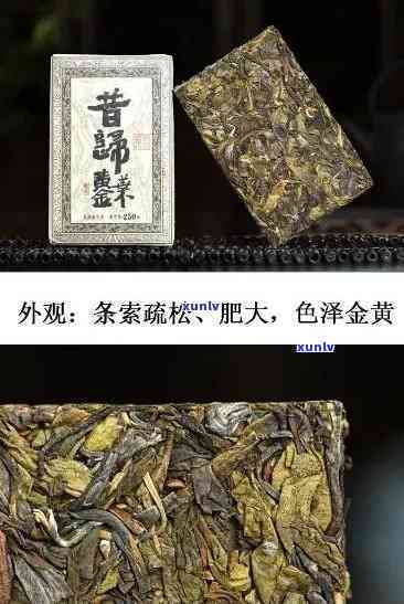 昔归金砖生茶，品味历韵味：探索昔归金砖生茶的世界