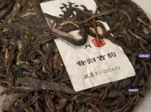 昔归古树茶2021年价格，2021昔归古树茶价格一览，了解最新市场行情