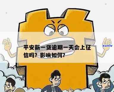 翡翠项链收藏价值分析：如何鉴别真伪与评估价格？