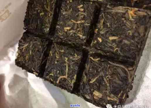 大益2019年老茶砖生熟：1901与1801两款老茶砖对比