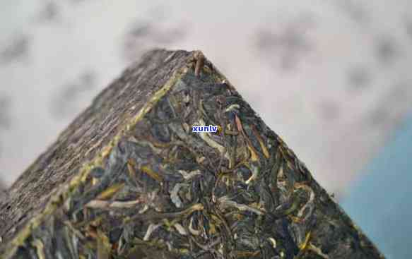 大益老茶砖2019，品鉴珍稀口感：大益老茶砖2019年度新品评测