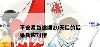 平安ie贷逾期一天的作用：全面解析与解答