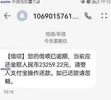 中信贷逾期最新消息查询：  与系统全攻略