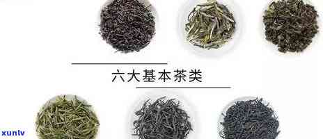 大益茶业什么茶用，揭秘大益茶业茶叶种类，哪种最值得尝试？