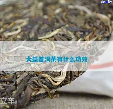 大益茶干啥的，探究大益茶的功效与作用，了解其独特之处