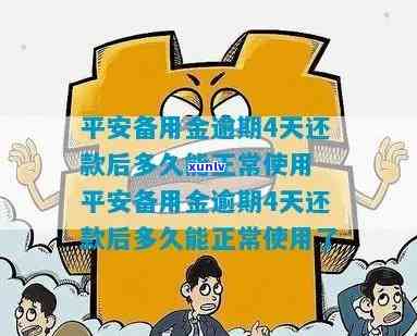 平安备用金逾期一月-平安备用金逾期一月会怎么样