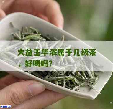 大益茶玉华浓好喝吗-大益茶玉华浓好喝吗值得买吗