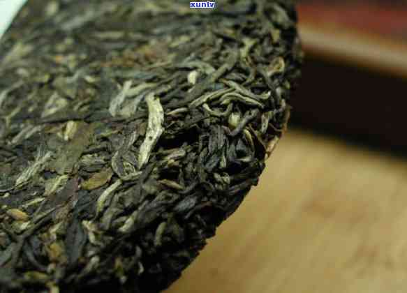 南糯山木大叶青饼福海茶厂：2006年野生大树茶