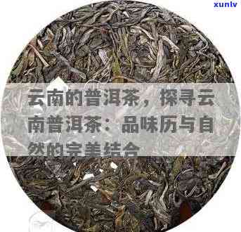 远年普洱茶，品味远年普洱茶：探寻历与口感的完美结合