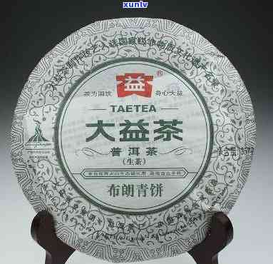 大益布朗青饼2010，探索经典：品尝大益布朗青饼2010的独特风味