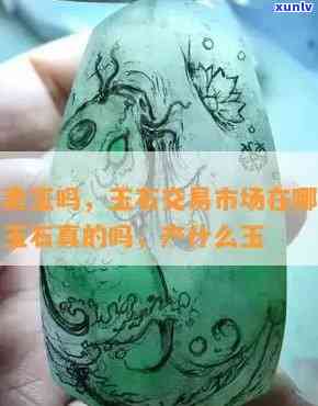 东海有玉石吗在哪里，揭秘东海的神秘玉石：它们是否存在？如果存在，又在哪里可以找到？