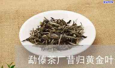 云南昔归黄金叶普茶-昔归黄金叶茶价格