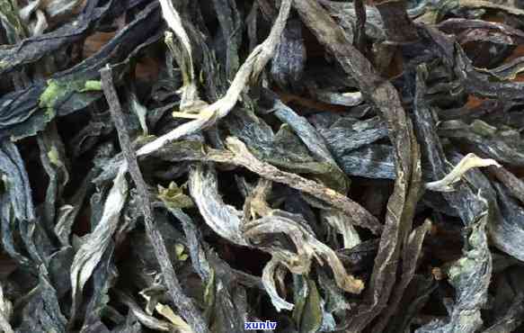 临沧昔归古树茶：价格与压饼解析