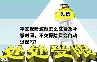 平安保险逾期再缴费怎么办，怎样解决平安保险逾期未缴费的情况？