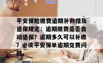 平安保险逾期再缴费怎么办，怎样解决平安保险逾期未缴费的情况？