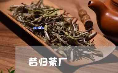 昔归茶哪个茶厂？了解昔归茶排名与产地信息