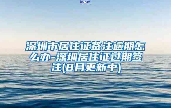 深圳居住证逾期签注怎么办？详解办理流程及所需手续