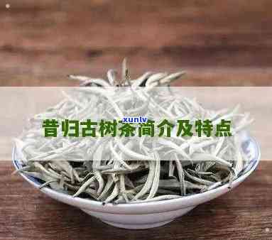 昔归古树茶怎么命名-昔归古树茶的香气