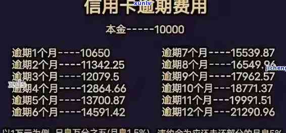 中信新快现逾期费用高吗，揭秘中信新快现逾期费用：是否真的高不可攀？