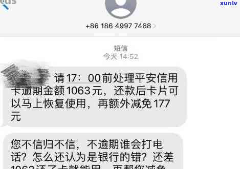 平安备用金逾期8万-平安备用金逾期8万怎么办